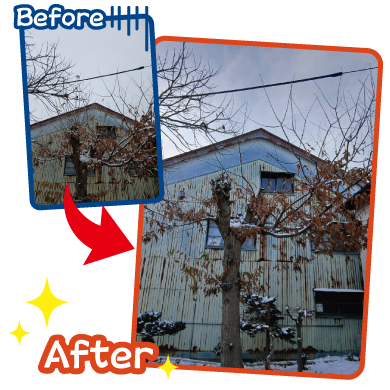 作業実績 - お家の裏にある樹木の枝切り作業です