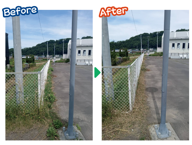 大安が行く - 2025年7月19日の写真