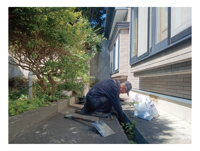 大安が行く - 2025年9月27日の写真