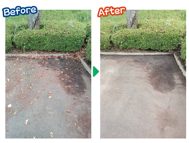 大安が行く - 2025年10月1日の写真