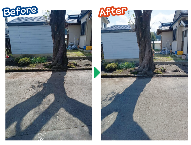 大安が行く - 2025年10月7日の写真