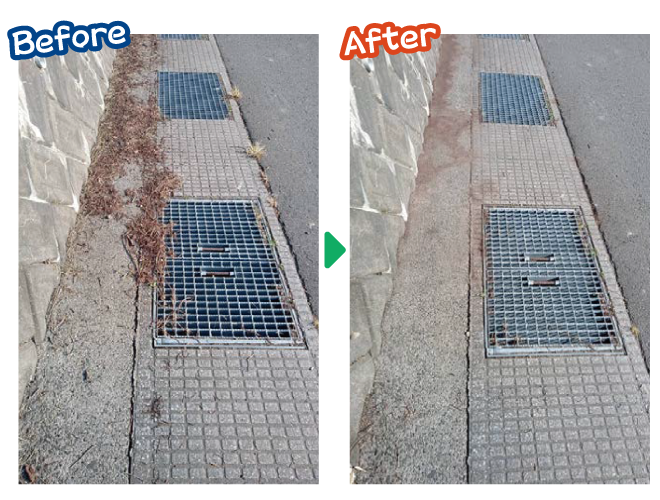 大安が行く - 2025年10月15日の写真