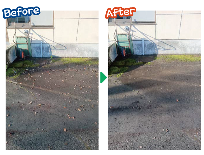 大安が行く - 2025年10月27日の写真