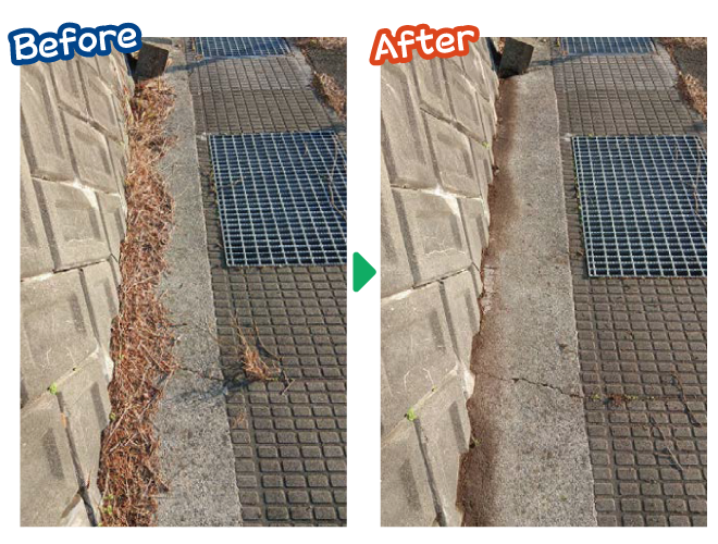 大安が行く - 2025年11月30日の写真