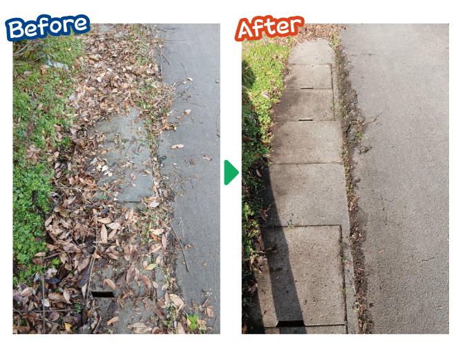 大安が行く - 2025年12月18日の写真