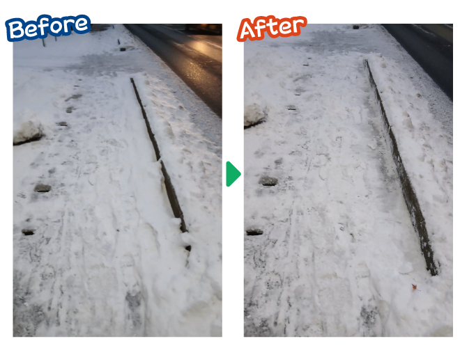 大安が行く - 2026年1月15日の写真