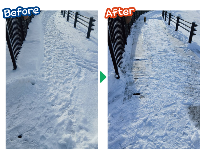 大安が行く - 2026年1月21日の写真