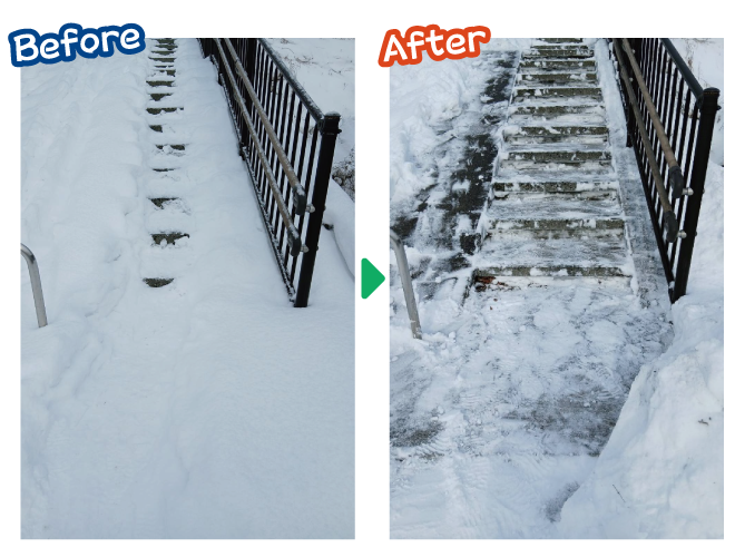 大安が行く - 2026年1月24日の写真